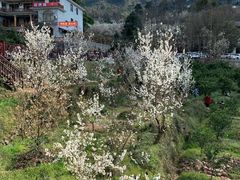 -樱桃山旅游景区