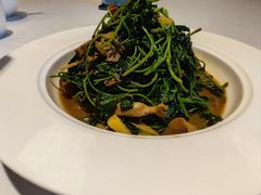 蚌肉金花菜-洋洋中餐馆·SINCE 1997(信投店)