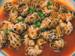 辣酒煮花螺-金龙·打边炉(南京西路店)