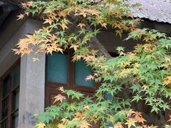 -莫干山风景区