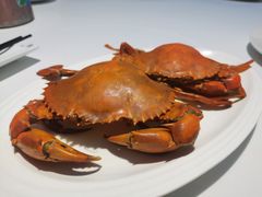 -欢乐海岸美食联盟