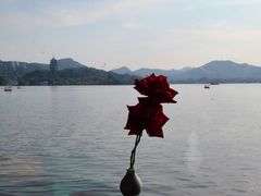 -柳莺湖上·湖景餐厅·江南菜(西湖店)