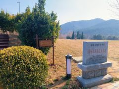 -棒棰岛宾馆景区