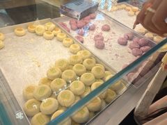-好一朵茉莉花(老门东店)