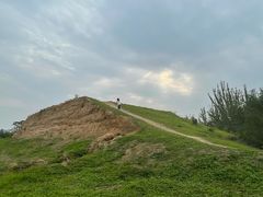 -汉长安城未央宫国家考古遗址公园