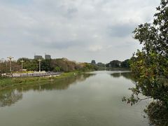 -海珠湖公园