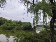 -禹州森林植物园