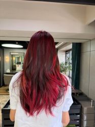 -Z.X HAIR SALON张新美业