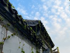 -青果巷历史文化街区