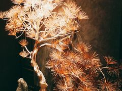 -百富源·海鲜辽菜(和平北大街店)