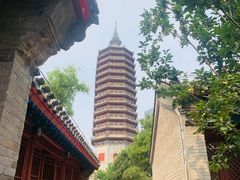 -西海子公园