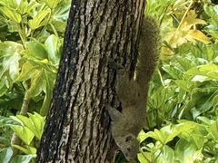 -呈贡滇池生态湿地公园