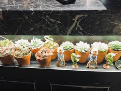 景观位-懒人盐府人家(航天桥店)