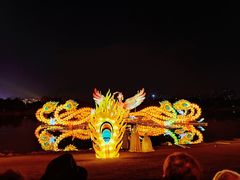 -武汉园博园(武汉自然博物馆)