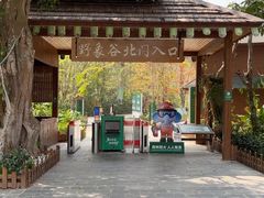 -野象谷景区