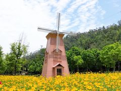 -顺峰山公园