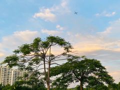 -海南热带海洋学院(三亚校区)