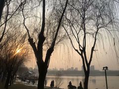 -唐城墙遗址公园