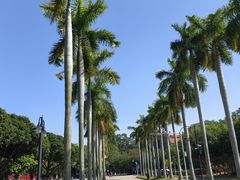 -厦门大学(思明校区)