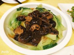 焖冬菇-惹味居(沙坦路)