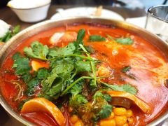冬阴功汤锅-Molee·泰府(东郊店)
