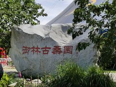 -御林古桑园