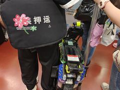 -东方体育中心(地铁站)