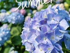 -常州古运河南大街文化旅游区-人民公园