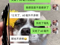 -好孕妈妈月嫂(哈尔滨总店)