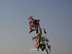 -南宁南湖公园