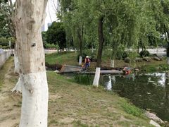 -后襄河公园