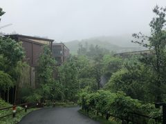 -莫干山郡安里度假酒店-桃尖中餐厅