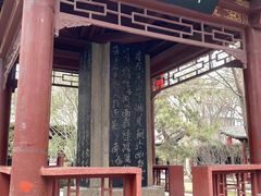 -碑林公园