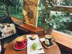 靠窗位-咖法森林·咖啡  酒吧(天河店)