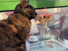 -EATALIA意塔利意式餐厅(鼓楼店)