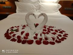 -三亚湾海居铂尔曼度假酒店