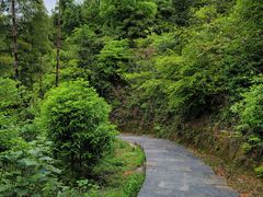 -梅岭月亮湾山体公园