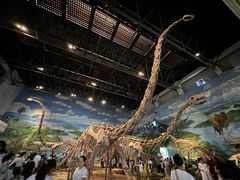 -自贡恐龙博物馆