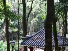 -天鹿湖森林公园