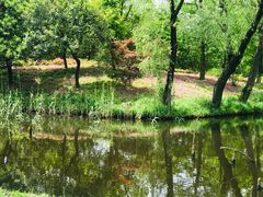 -上海共青森林公园