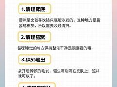 -心语宠物医院·急重症转诊中心·瑞辰华诺(南青路店)
