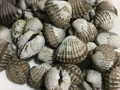 -老伯蟹脚店(朝阳路店)
