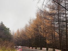 -秦岭风景区