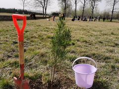 -汉长安城未央宫国家考古遗址公园