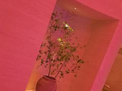 -舒小悦·舒养SPA·古法推拿(光环中心店)