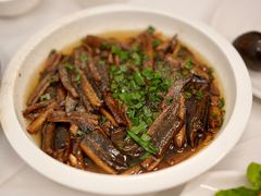 响油鳝丝-春餐厅