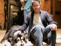 -more than meow吴止猫主题餐厅(承德 中船汇店)