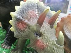 -TOYSRUS玩具反斗城(凯德广场云尚店)