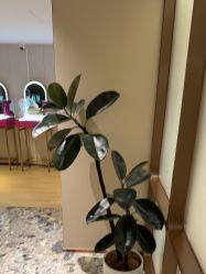 -北京漾格医疗美容医院