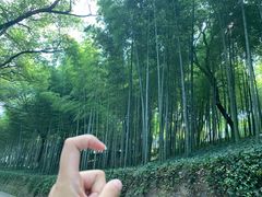 -上海市保健医疗中心